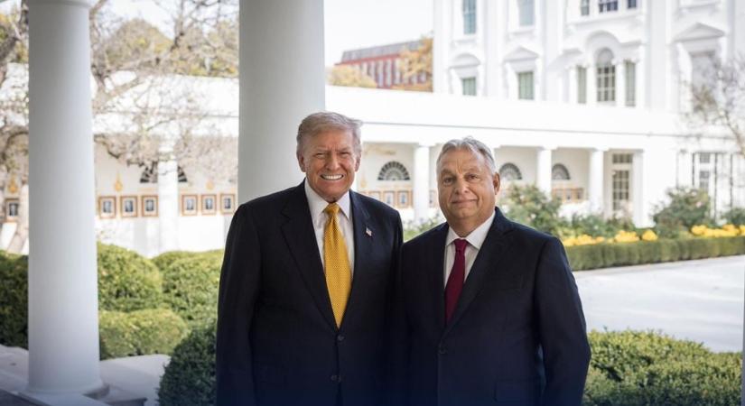 Donald Trump szavaitól felrobban a magyar politika: hivatalosan is bejelentette, kit támogat a választáson
