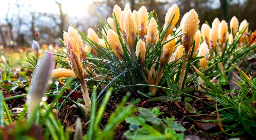 Betör az enyhülés az országba, azonban az időjósok óvatosságra intenek – időjárás-előrejelzés