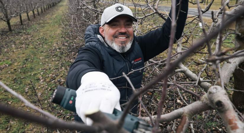 Csattoghatnak a metszőollók, elkezdhetjük a tavaszi gyümölcsfametszéseket