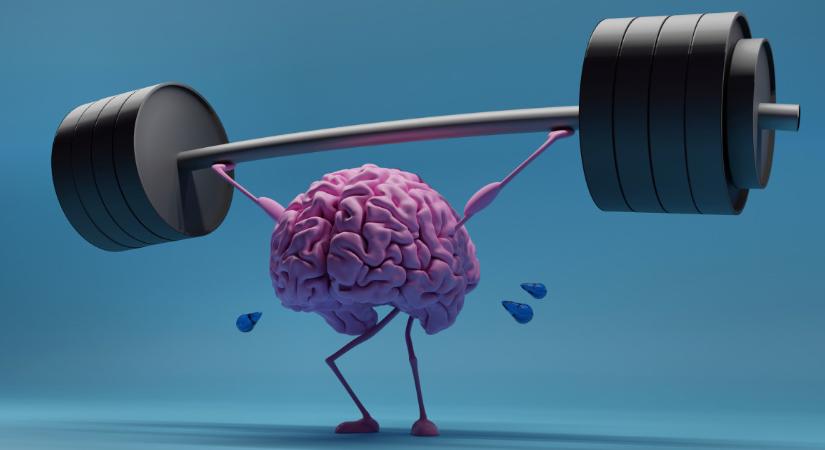 Nemcsak a testedet, az agyadat is óvja a rendszeres mozgás