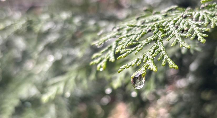 Borongós nap szitálással és enyhe hőmérséklettel