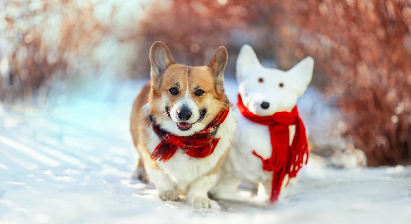 Hétvégi horoszkóp 2026. február 7-8: a szombat feltöltődést, a vasárnap kihívást hoz