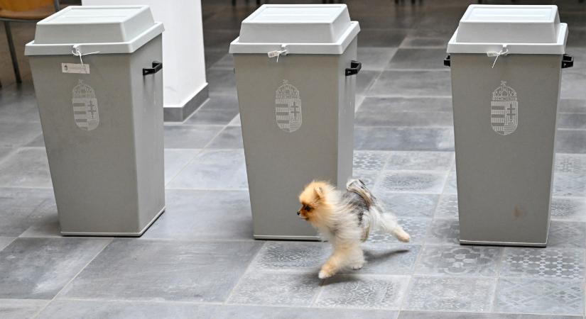 A legszerencsésebbek már ma megkapják a választási értesítőt