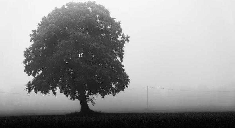 Kiadták a riasztást a meteorológusok: ez most hat óránál is tovább tart majd