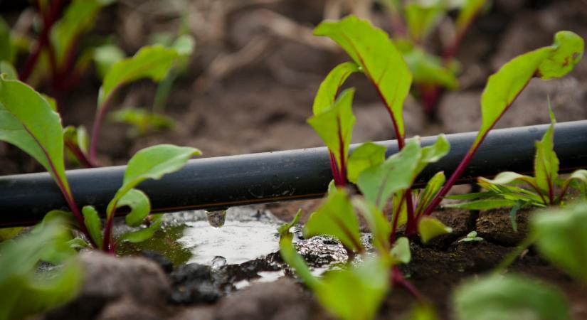 Itt az új csodaeszköz a földekre: magyar megoldás segíthet a gazdákon