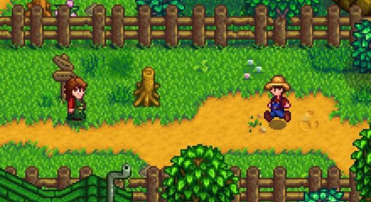Majdnem elkészült a Stardew Valley-film, de a játék alkotójának elég magas elvárása volt a rendező személyét illetően