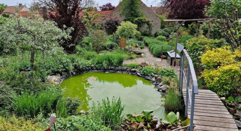 Kertinspirációk kiállítása több németországi helyszínen