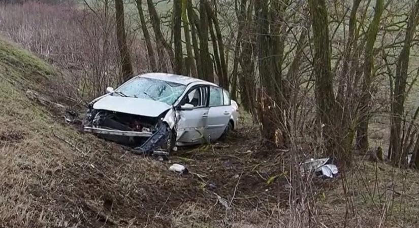 Valóságos csoda Szentesnél: fékezés nélkül csapódott a fának, mégis túlélte