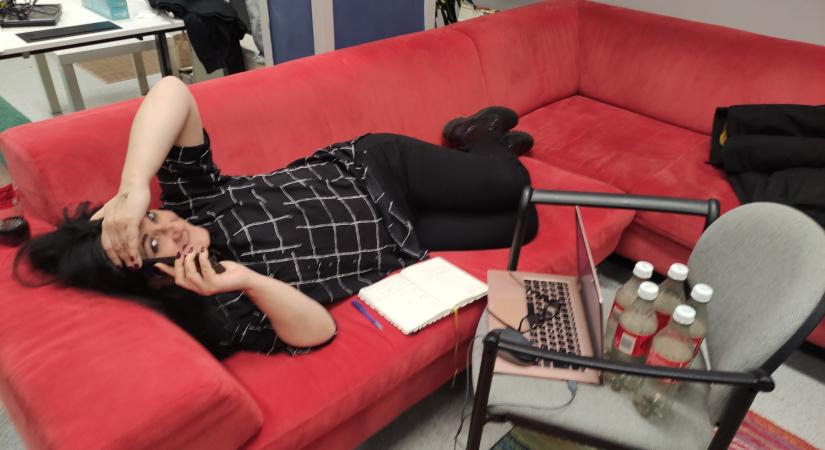 Gyakornokot keres a Freeszfe Egyesület az ügyvezető mellé