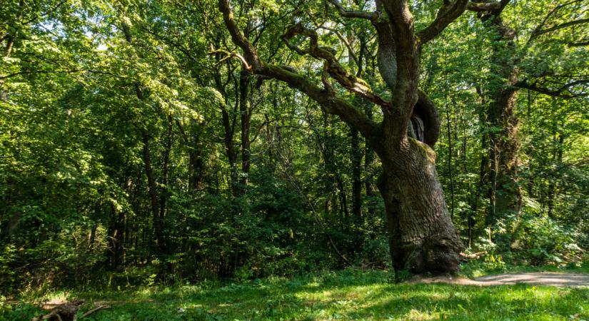 Komoly intézkedések jönnek itthon: sokakat érint, ami történni fog