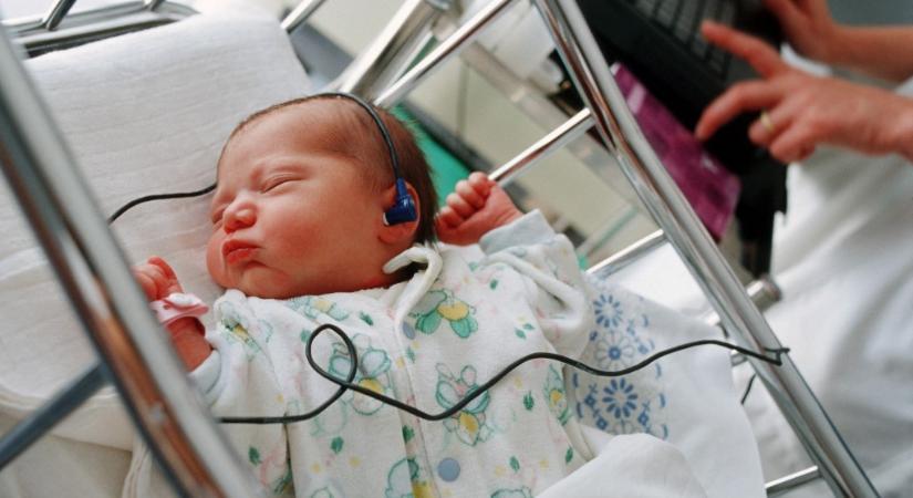 A ritmusérzéket az anyaméhből hozzuk magunkkal, a dallammal azonban más a helyzet