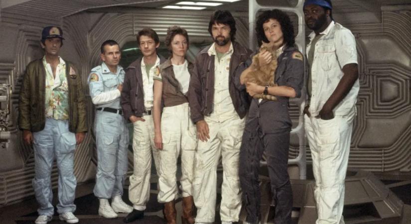 Telex Diszpó február 6-tól február 13-ig