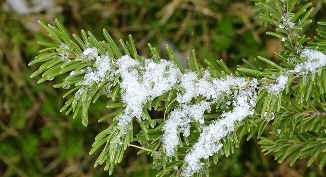 Az év eddigi legenyhébb napja volt a csütörtöki