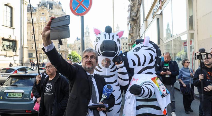 Hadházy Ákos már tudja a hatvanpusztai zebrák nevét