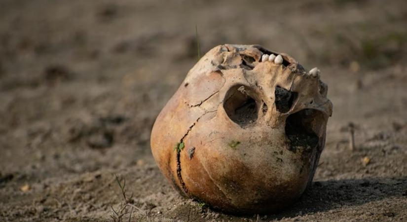 Egy viktoriánus bűntény a kert mélyéről – David Attenborough udvarában zárult le egy 131 éves rejtély