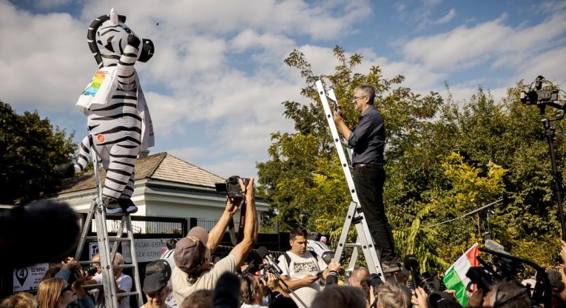 Hadházy Ákos kiderítette a hatvanpusztai zebrák neveit