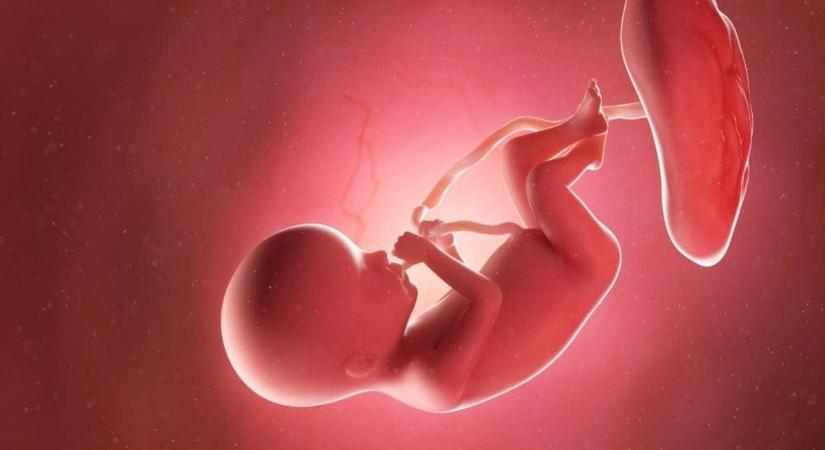 Egy jogász barátommal beszélgettünk, mert nem tudta, hogy a Fidesz bevezette