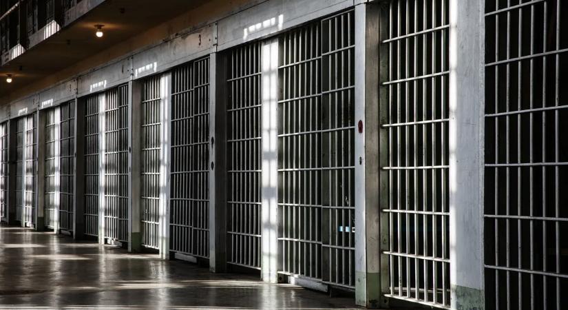 Életfogytiglan kapott Ausztriában: fejbe lőtte volt élettársát egy magyar férfi