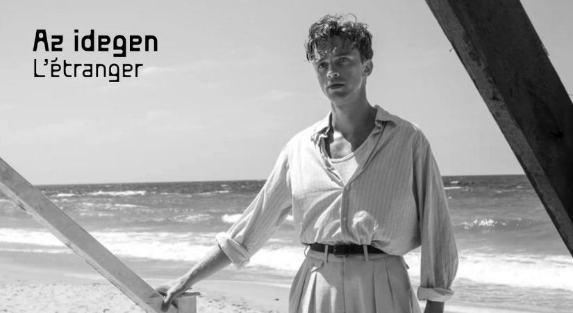 23 francia film a Frankofón Filmnapok programjában