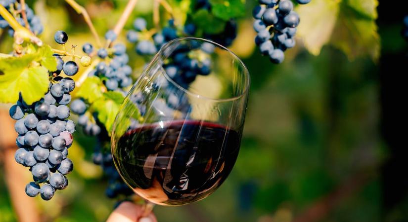 Egy milliárdos vállalkozó vette át a bajba került Borhálót