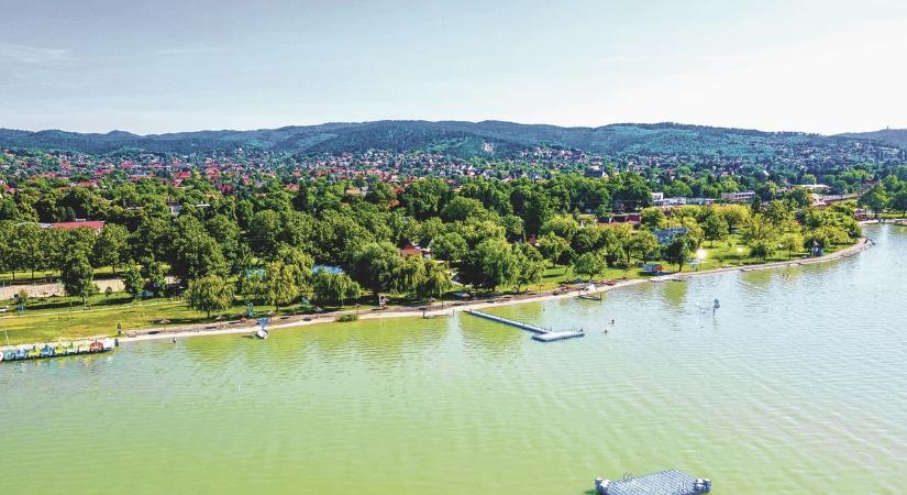 Előkészítik a szúnyoggyérítést, fontos a jegyzők feladata a szőlővész visszaszorításában