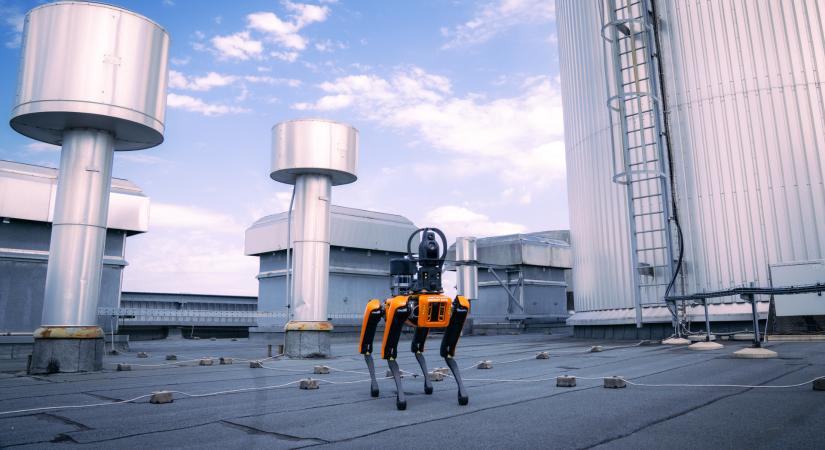Robotkutyákat vetnek be Magyarország szomszédjában
