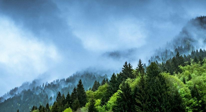 Nagyobb lehet az AI klímahaszna, mint a lábnyoma – cselekvési tervet mutatott be a KPMG Davosban