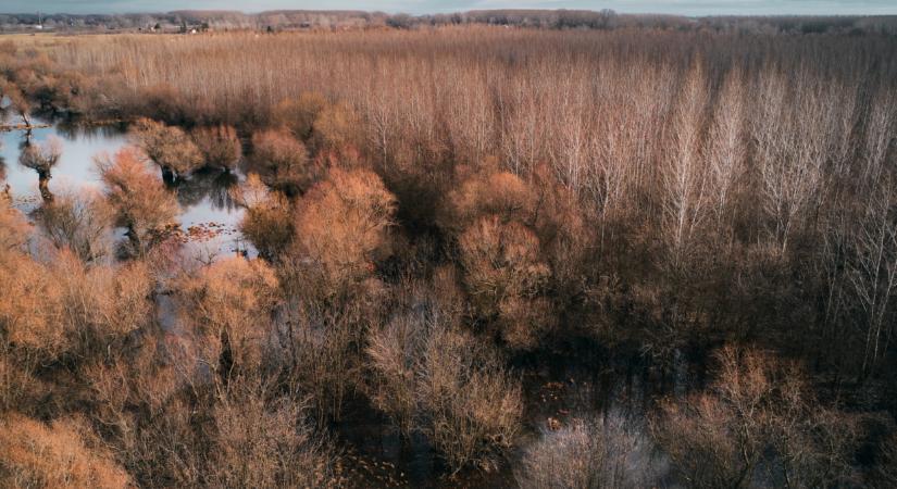 Komoly árvíz jöhet, ha felgyorsul az olvadás? Megszólalt a Vízügyi Főigazgatóság, erre számíthatunk Magyarországon