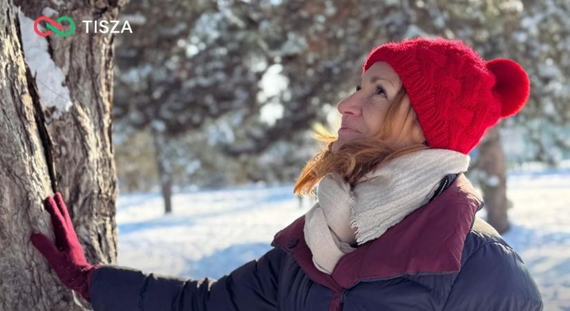 Nem csak Kapitány István, hanem a Tisza fővárosi frakcióvezetője is rengeteg pénzt kereshetett az ukrán háborún (VIDEÓ)