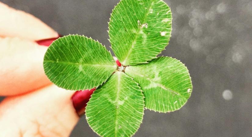 Példátlan együttállás a lottón: egyszerre halmozódott óriásira az Ötös és a Hatos főnyereménye