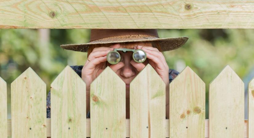 Tehetetlen a szomszéddal szemben? Itt a megoldás, ha elszabadul az indulat a kerítésnél