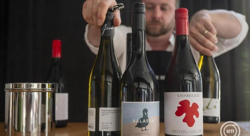 A piacépítés a legfontosabb a bormarketingért felelős kormánybiztos szerint
