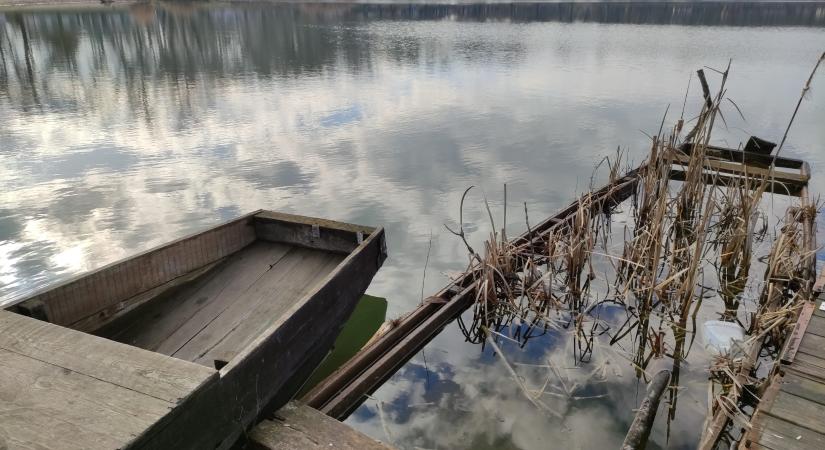 Kora tavasz a mártélyi Tisza-parton – képekben