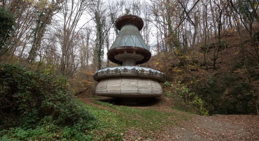 Gigantikus tulipán az erdei völgy mélyén