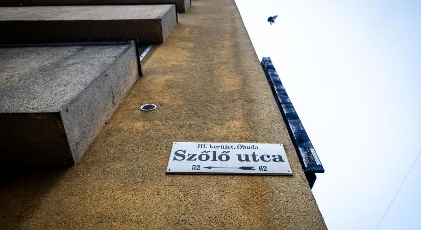 Nyilvánosságra kerültek az adatok, csak 2024-ben a dolgozók egyharmada távozott a magyarországi gyermekvédelmi intézményekből