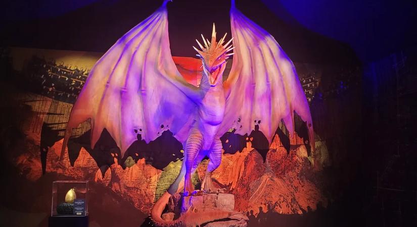 Beléptünk a varázsvilágba – Megnyílt a Harry Potter kiállítás Szentendrén