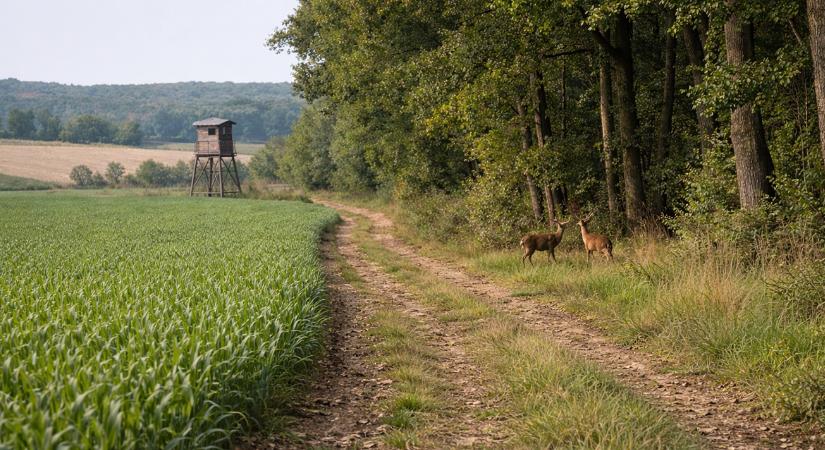 Évek óta várt pillanat: vadászok, gazdák, erdészek egy asztalnál