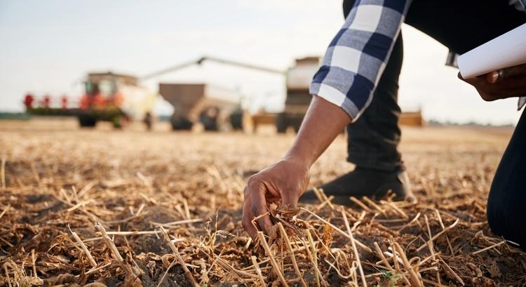 Mennyibe kerül a termőföld az EU-ban, és hol tart Magyarország?