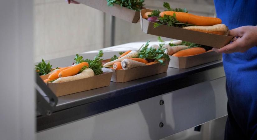 Magyar szupergabona hódít külföldön: több ország is lecsapott rá