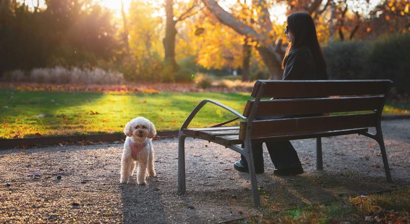Hosszú idő után végre kisüthet a nap, de a meteogyógyász rossz híreket is mondott