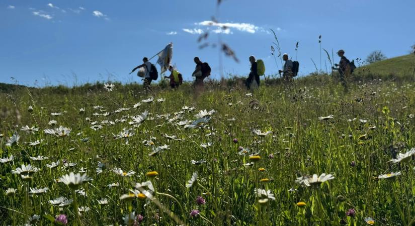 Negyven napnyi ajándék