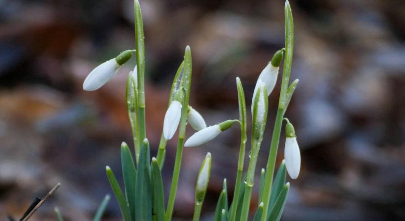 Az év legmelegebb napja után újra jön a havazás, itt lehet rá számítani