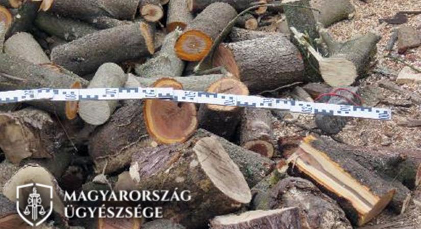 A sajátjaként kezelte szomszédja tulajdonát, majd a hatóságokkal is packázni próbált egy zalai férfi