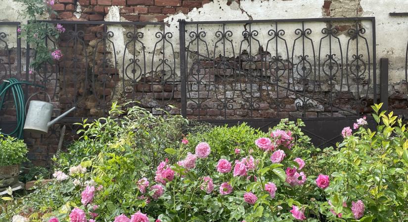 Agatha Bock egyszerűen csodálatos élete