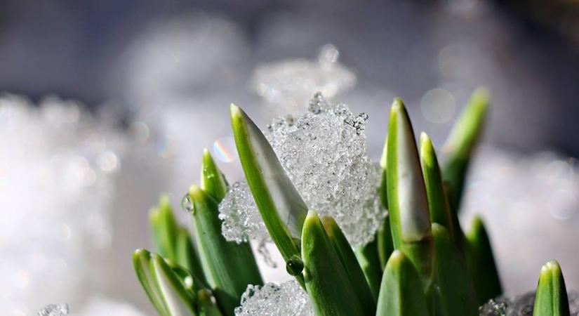 Változékony, enyhe időnk lesz