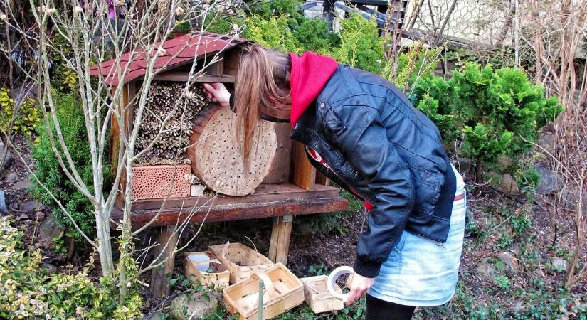 Februári kerti munkák: apró döntések, nagy esély a beporzóknak