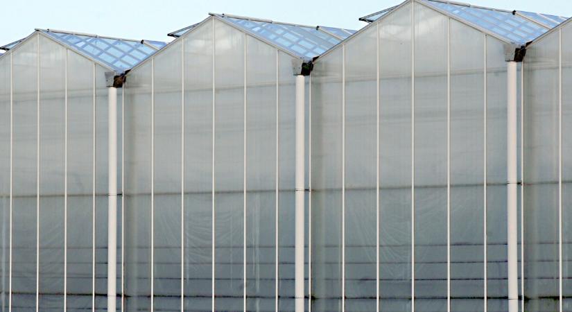 Súlyos gond van az oroszoknál: nem semmi, mi áll a háttérben