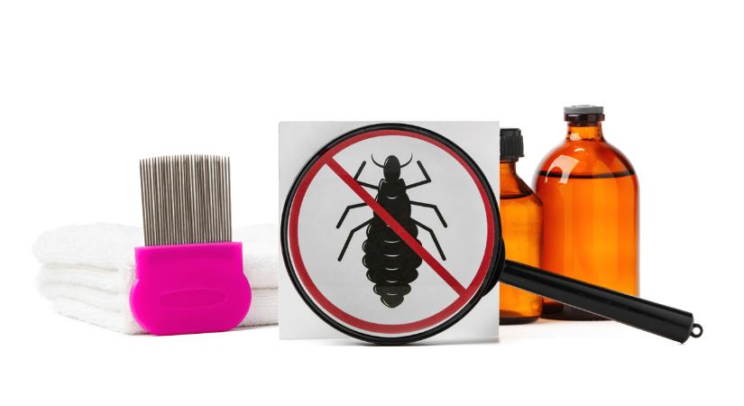 Hogyan szabaduljunk meg a fejtetűtől?