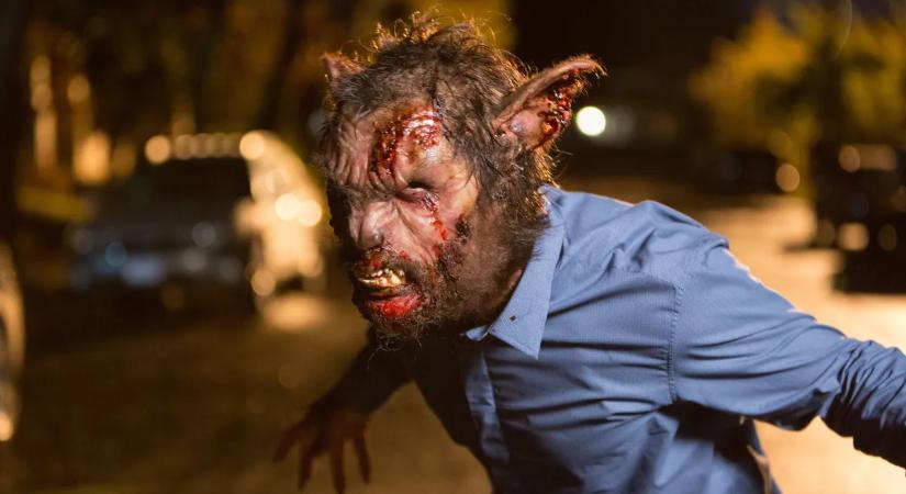 Bárhol felbukkanhat a vérszívó lény? Szemtanúk látták a rettegett chupacabrát