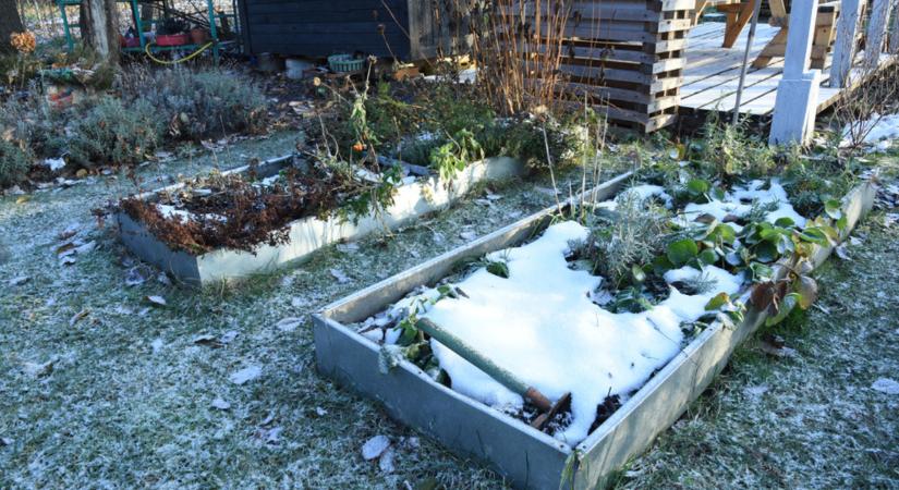 Ki ne hagyd! Ez a 6 fontos kerti feladatot nagyon megéri még tavasz előtt elvégezni!